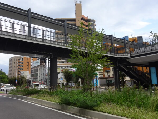 tajimi -1 (2)